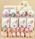 Capybara Hugger Blind Box (Harvest Series)